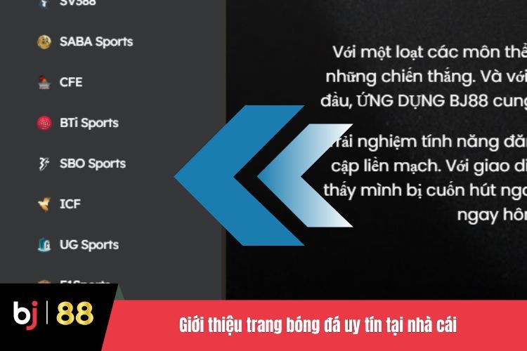 Giới thiệu trang bóng đá uy tín tại nhà cái