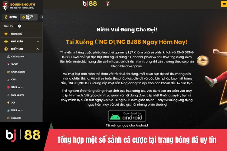 Tổng hợp một số sảnh cá cược tại trang bóng đá uy tín